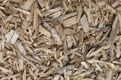 biomass boilers Litmarsh